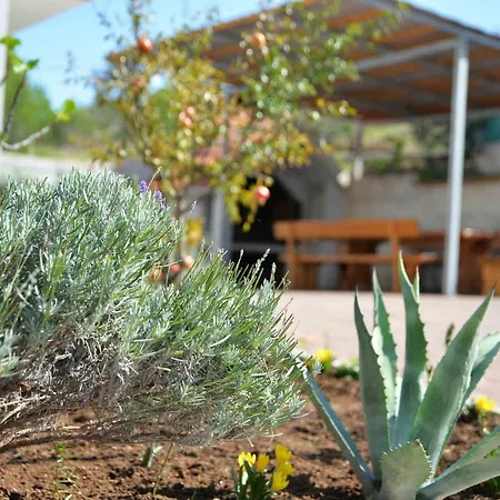 Bilanovic * تيسنو