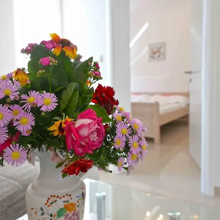 Apartment Bilanovic