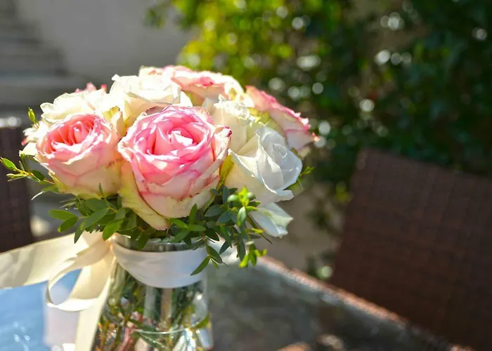 Bilanovic טיסנו